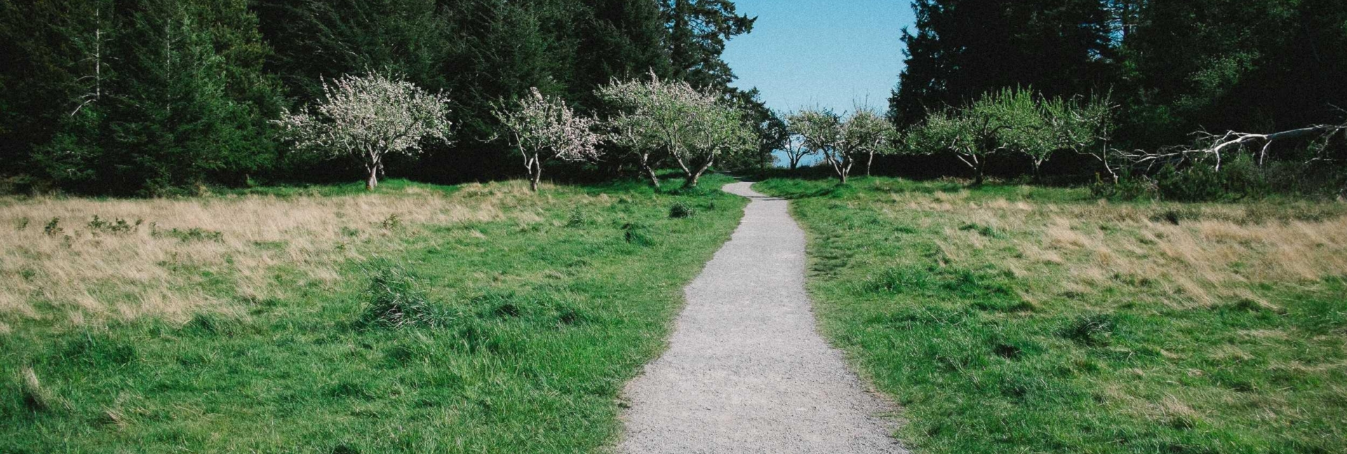 Glamping & Kamperen in Heuvelland